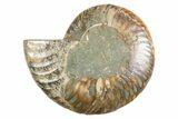 Cut & Polished Ammonite Fossil (Half) - Deep Crystal Pockets #346003-1
